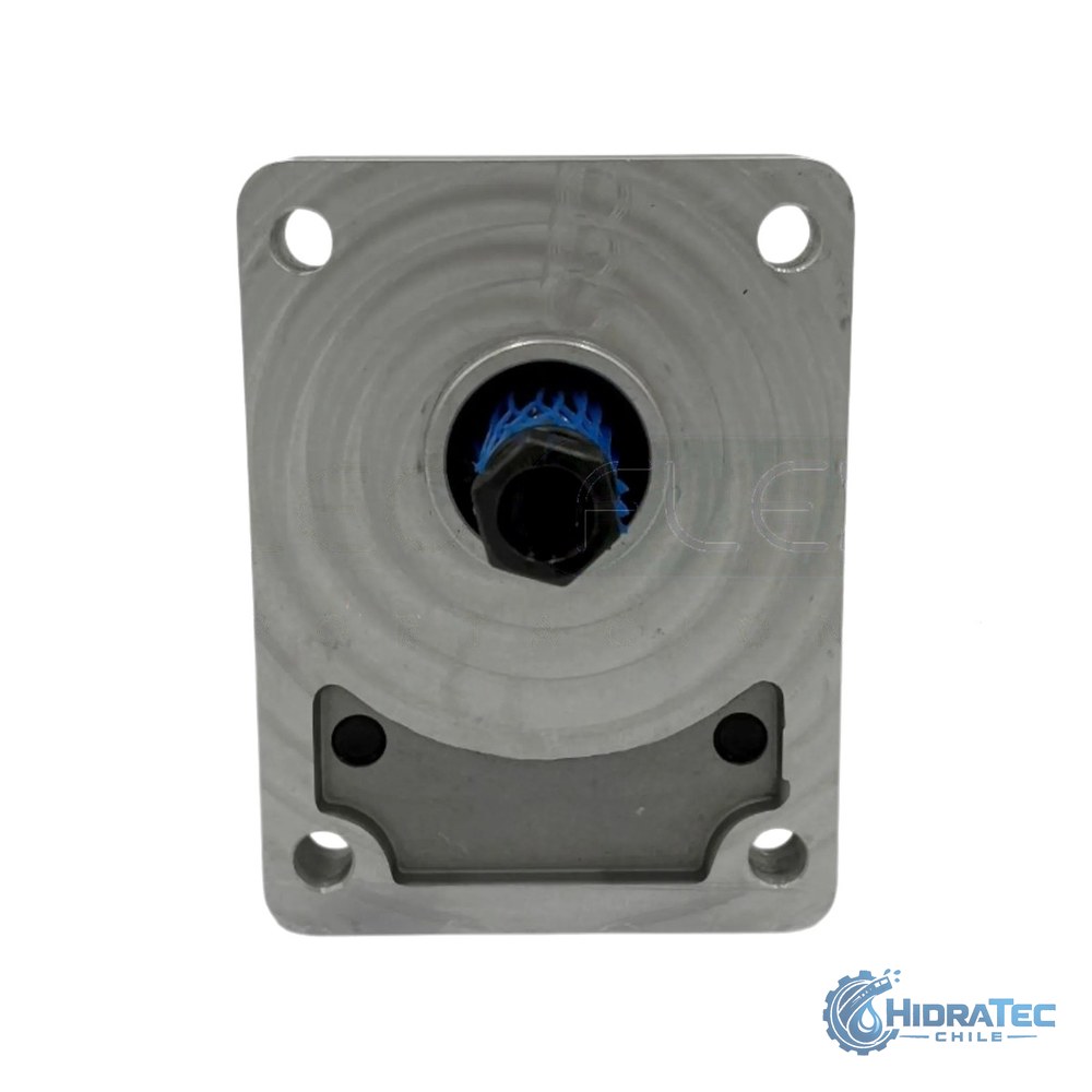 BOMBA ENGRANAJE SIMPLE 2FP 6_2 CM3-REV 250 BAR 3-4 X 1-2 EJE CONICO 5-8 — HidraTec Chile